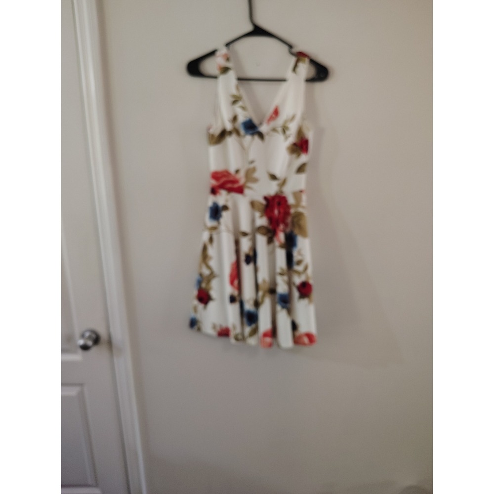 Soprano Floral V-Neck Fit and Flare Skater Dress White Red Blue Small D14608DUP